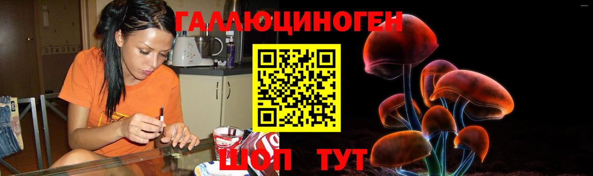 Галлюциногенные грибы Cubensis Арсеньев
